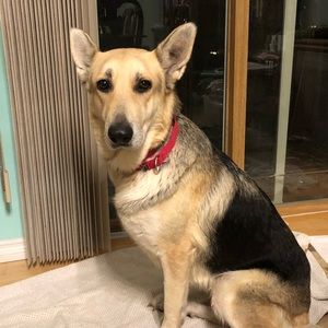 Meet your Posher, Kit ling